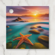 Starfish am Strand von Dawn