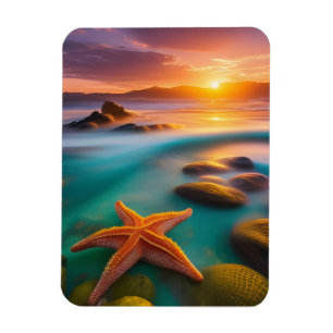 Starfish am Strand von Dawn Magnet