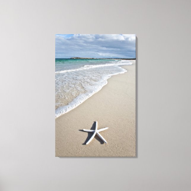 Starfish an einem abgelegenen Strand Leinwanddruck (Vorderseite)