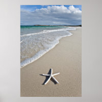 Starfish an einem abgelegenen Strand