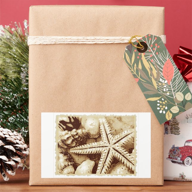 Starfish and Seashells Stickers (Von Creator hochgeladen)