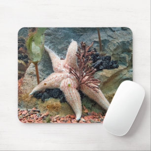 Starfish auf aquatischer Pflanze Mousepad