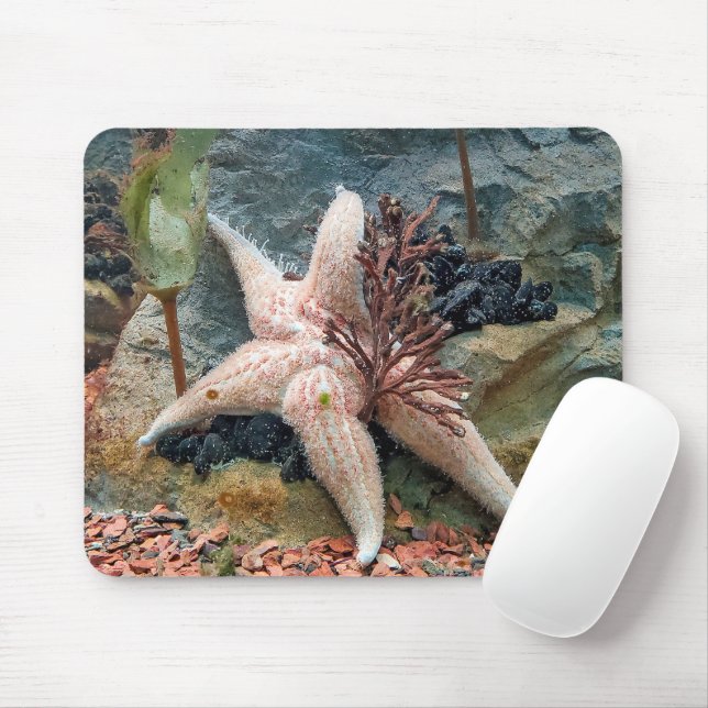Starfish auf aquatischer Pflanze Mousepad (Mit Mouse)
