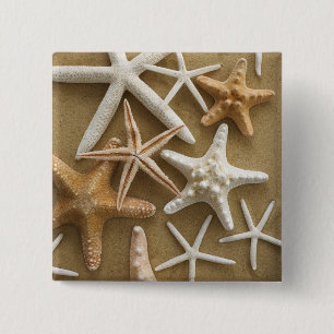 Starfish auf dem Sand Button