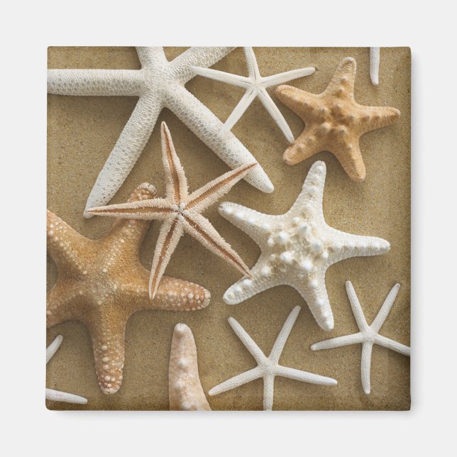 Starfish auf dem Sand Magnet (Vorne)