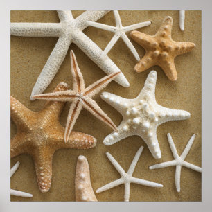 Starfish auf dem Sand Poster