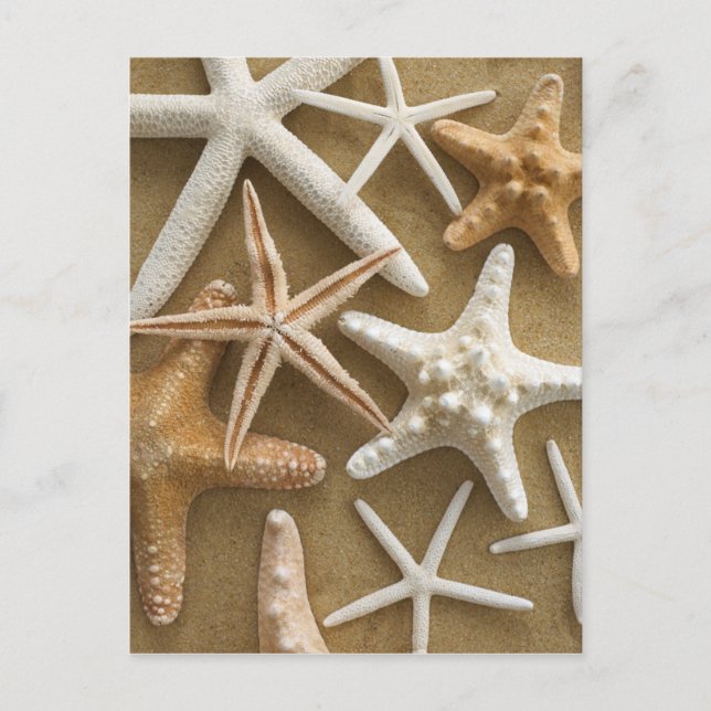 Starfish auf dem Sand Postkarte (Vorderseite)