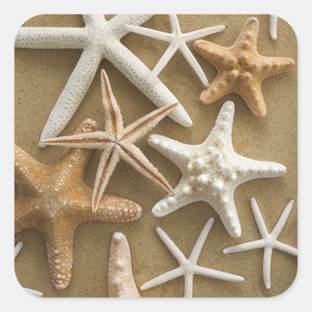 Starfish auf dem Sand Quadratischer Aufkleber (Vorderseite)