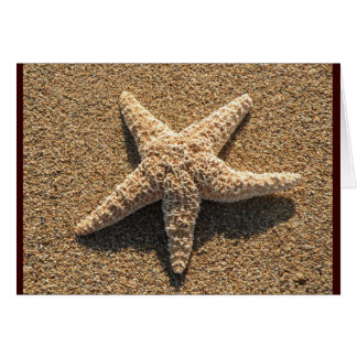 Starfish auf dem Strand