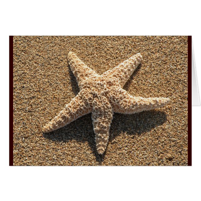 Starfish auf dem Strand (Vorderseite (Horizontal))
