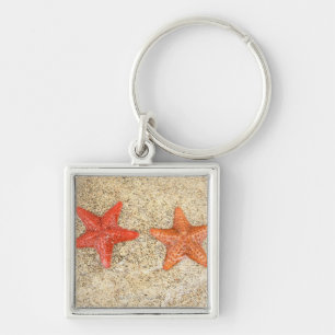 Starfish auf dem Strand, am Rand des Ozeans Schlüsselanhänger