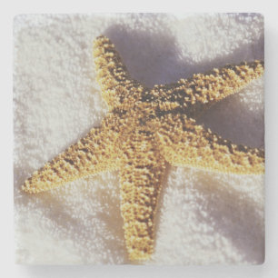 Starfish auf einem Tuch Steinuntersetzer