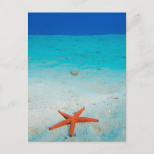 Starfish auf einer Sanddüne unter Wasser Postkarte