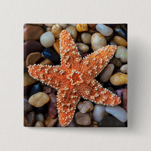 Starfish auf Felsen Button (Vorderseite)