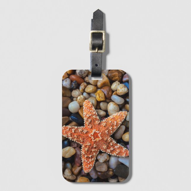 Starfish auf Felsen Gepäckanhänger (Vorderseite Vertikal)