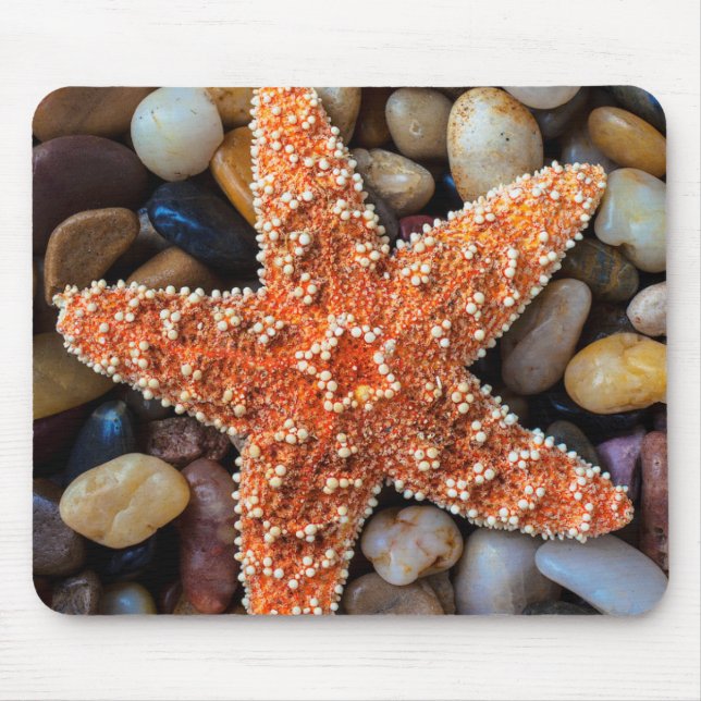 Starfish auf Felsen Mousepad (Vorne)