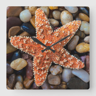 Starfish auf Felsen Quadratische Wanduhr