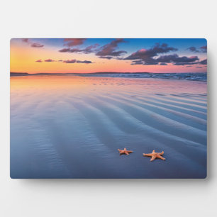 Starfish auf Sand Fotoplatte