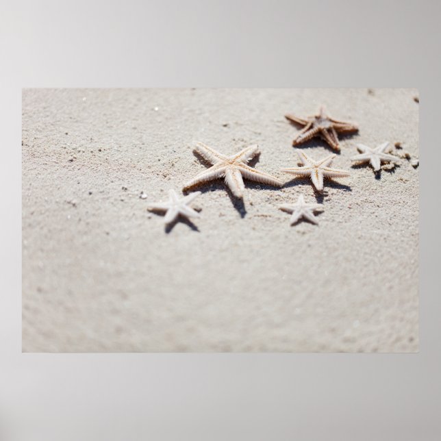Starfish auf Sand Poster (Vorne)