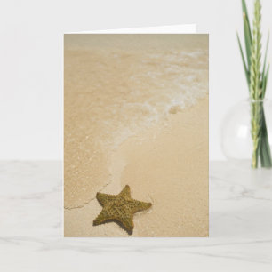 Starfish auf sandigem Strand, Gibbs Cay-Land und Karte