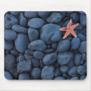 Starfish auf schwarzen Felsen entlang der Küste Mousepad