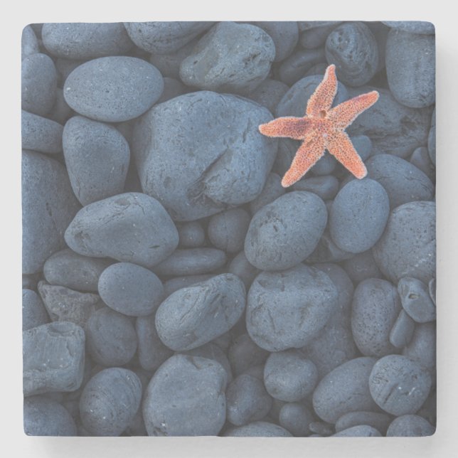 Starfish auf schwarzen Felsen entlang der Küste | Steinuntersetzer (Vorderseite)
