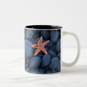 Starfish auf schwarzen Felsen entlang der Küste Zweifarbige Tasse