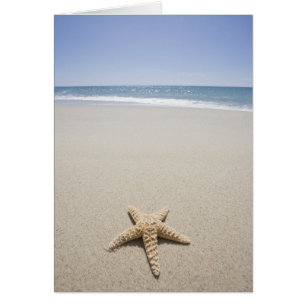 Starfish auf Strand durch Atlantik