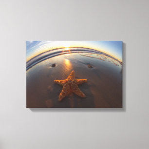 Starfish auf Strand Leinwanddruck