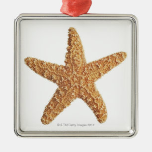 Starfish auf Weiß Silbernes Ornament