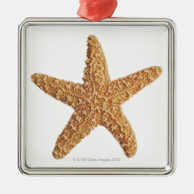 Starfish auf Weiß Silbernes Ornament (Vorne)