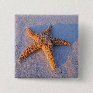 Starfish auf weißem Sand Button