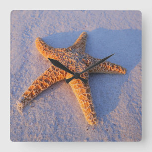 Starfish auf weißem Sand Quadratische Wanduhr