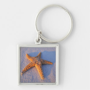 Starfish auf weißem Sand Schlüsselanhänger