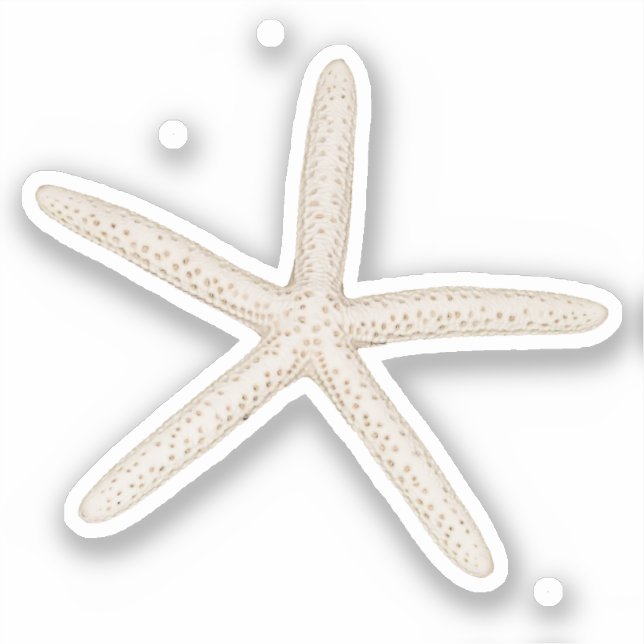 Starfish-Aufkleber Aufkleber (Vorderseite)