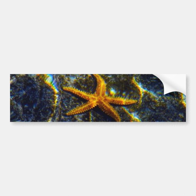 Starfish Autoaufkleber (Vorne)