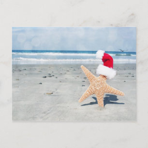 Starfish Beach Christmas Feiertagspostkarte