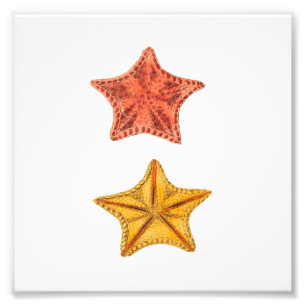 Starfish Beach Sea Wasserbad Print Fotodruck