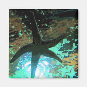 Starfish CB Magnet