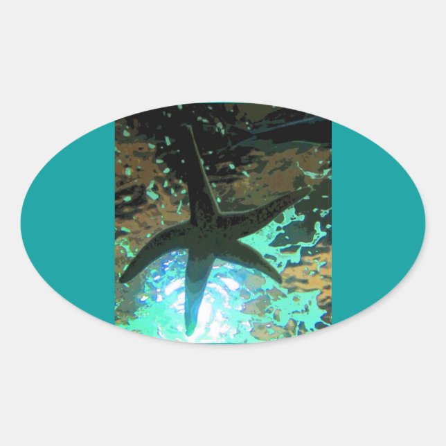 Starfish CB Ovaler Aufkleber (Vorderseite)