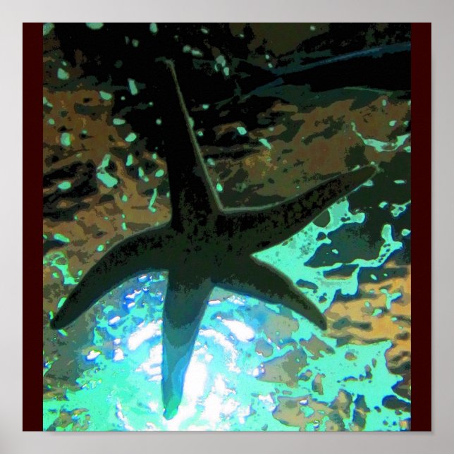 Starfish CB Poster (Vorne)