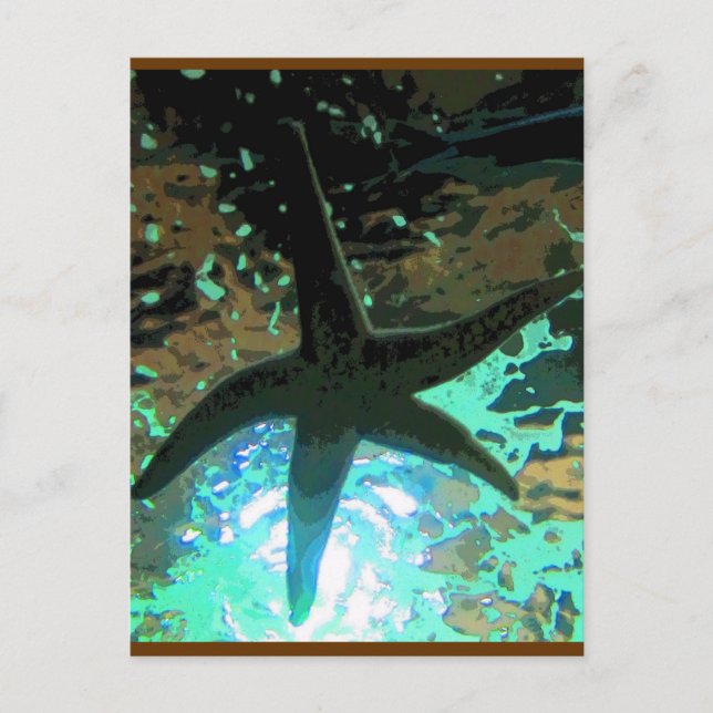 Starfish CB Postkarte (Vorderseite)