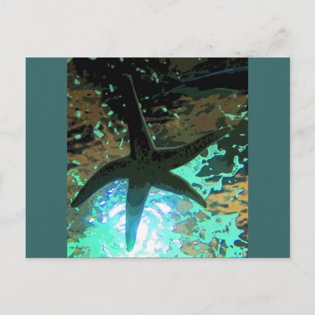 Starfish CB Postkarte (Vorderseite)