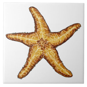 Starfish Fliese