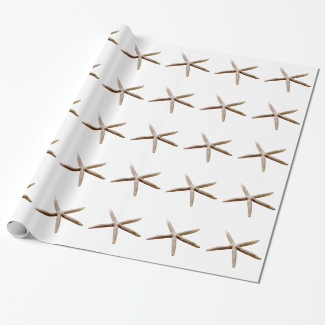 Starfish Geschenkpapier (Ungerollt)