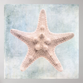 Starfish gestörte blaue Creme Poster