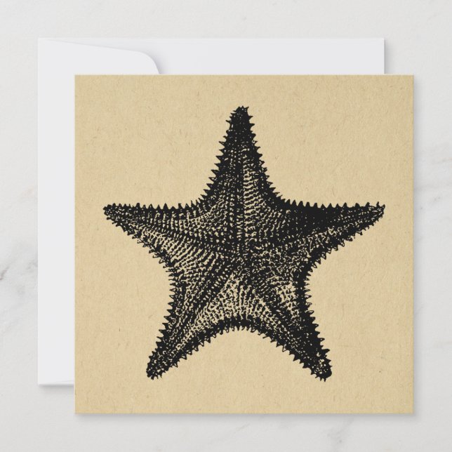Starfish Illustration Ozean Vintager Starfish Mitteilungskarte (Vorderseite)