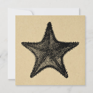 Starfish Illustration Ozean Vintager Starfish Mitteilungskarte