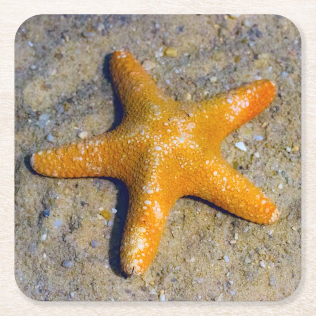 Starfish im Sand Rechteckiger Pappuntersetzer (Vorderseite)