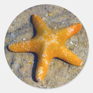 Starfish im Sand Runder Aufkleber